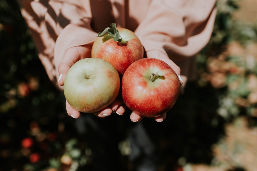 unsplash-apple-20180621154854