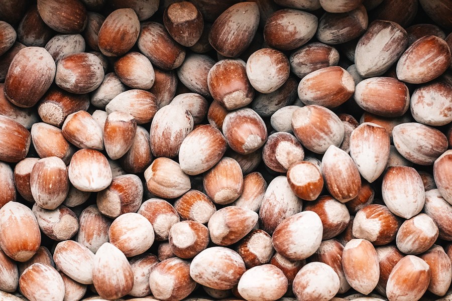 La tostatura e la leggera salatura della frutta a guscio ne alterano le proprietà cardioprotettive e l’appetibilità?