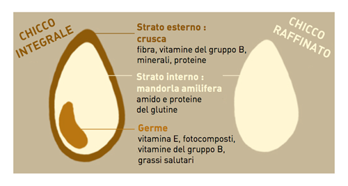 cereale integrale o cereale raffinato