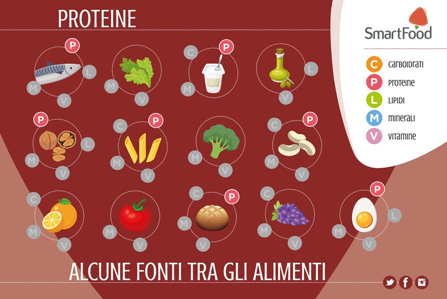 2019 PROTEINE NUTRIENTI