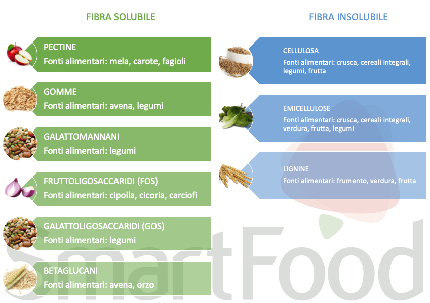 Fibra Solubile Insolubile