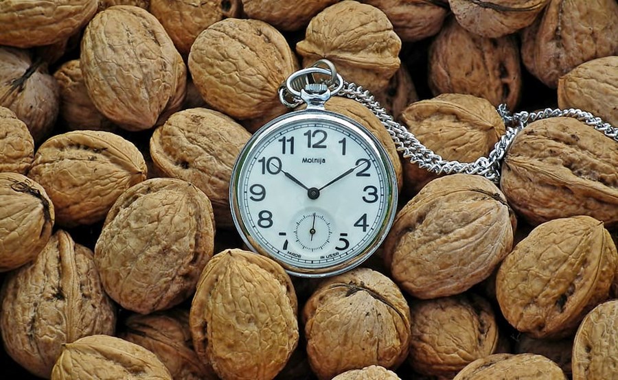 Nutrigenomica, il dialogo tra cibo e DNA: un nuovo strumento per rallentare l’invecchiamento?