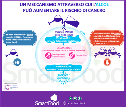 alcol rischio di cancro meccanismo