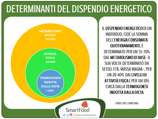 metabolismo - determinanti dispendio energetico