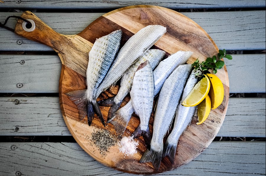 Carne, pesce e latticini: qual è il loro impatto sullo sviluppo dei tumori?
