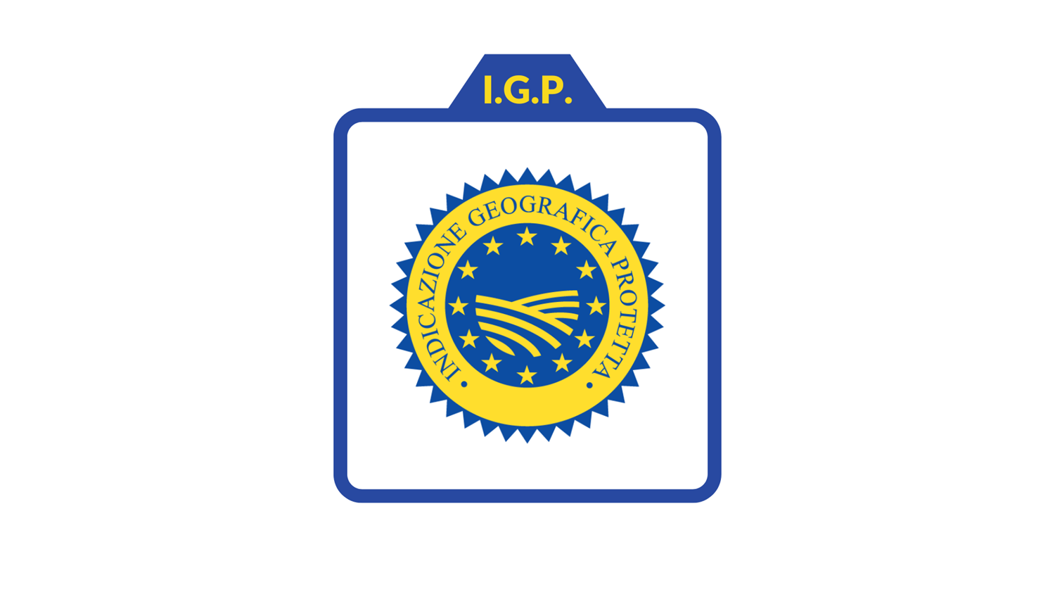 IGP 1