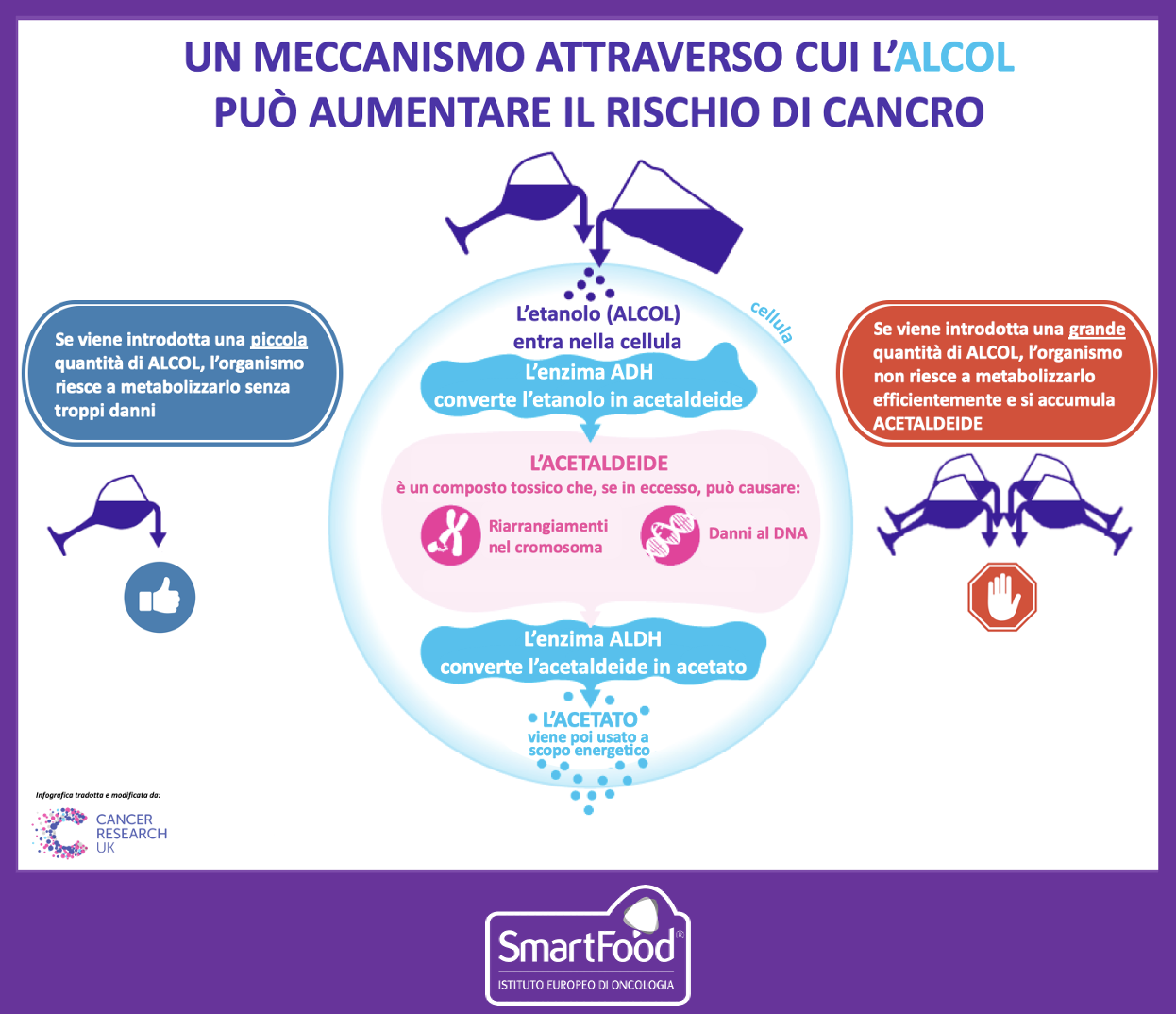 Alcol Meccanismi