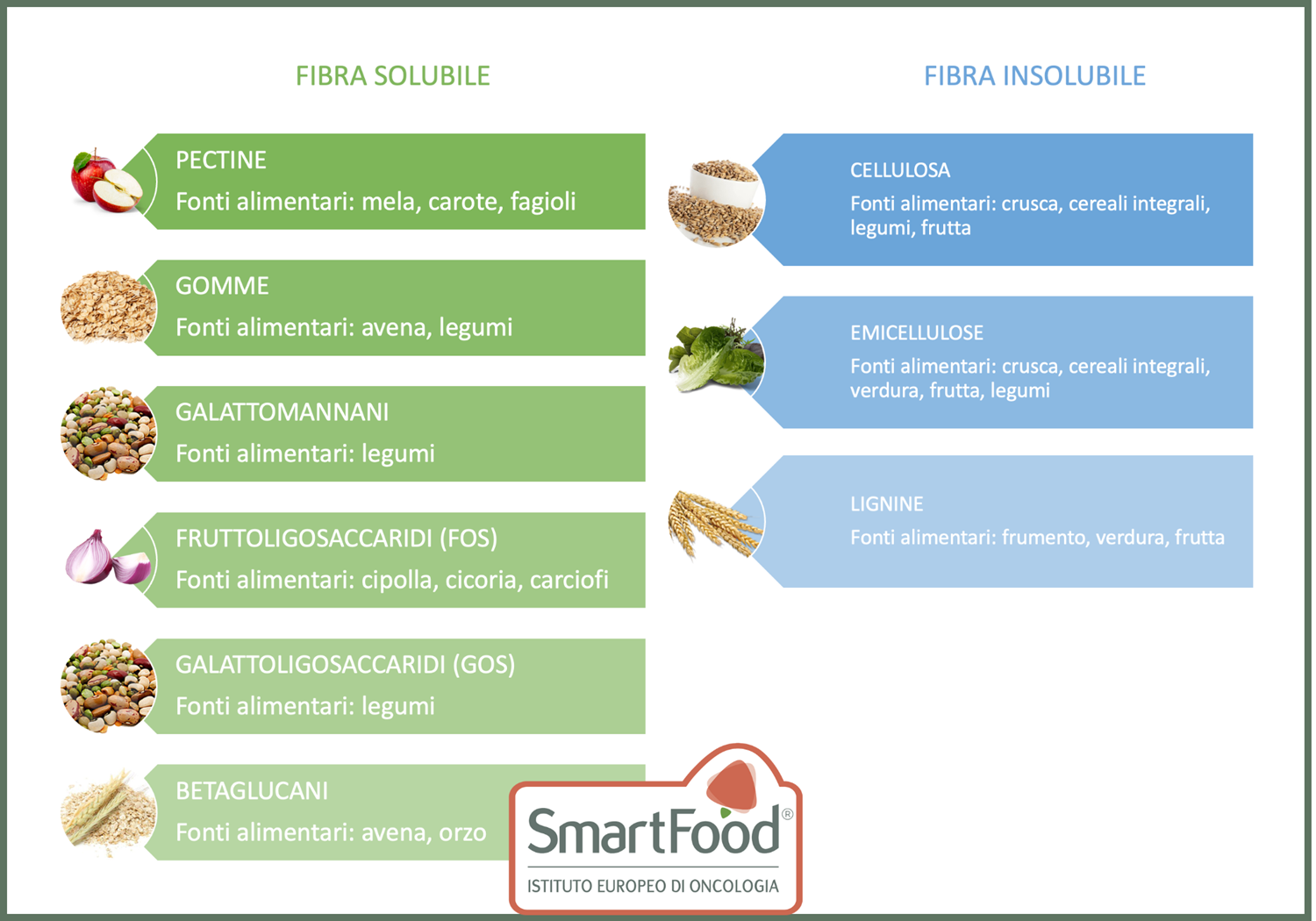 Img Fibra Solubile Insolubile