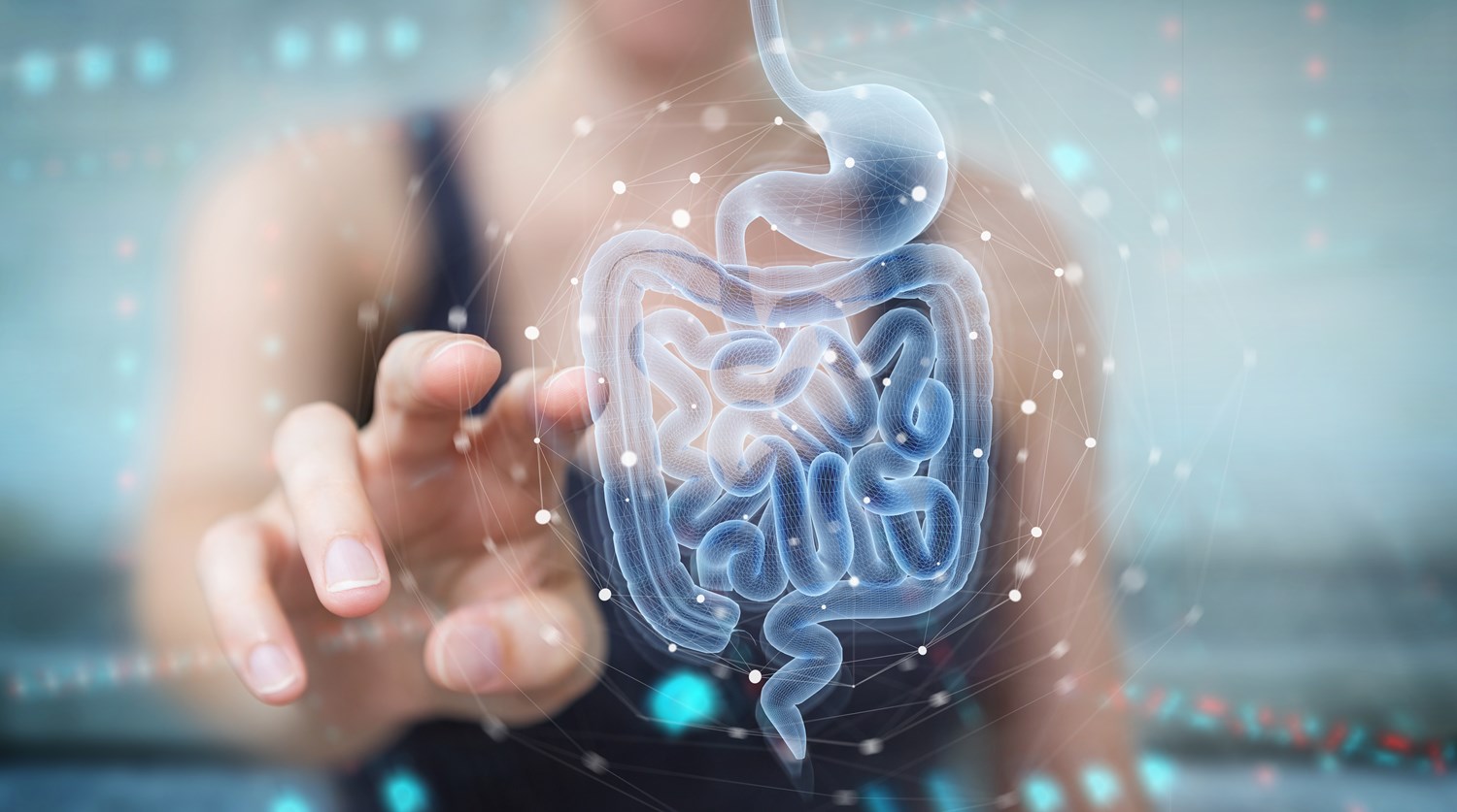 microbiota alimentazione