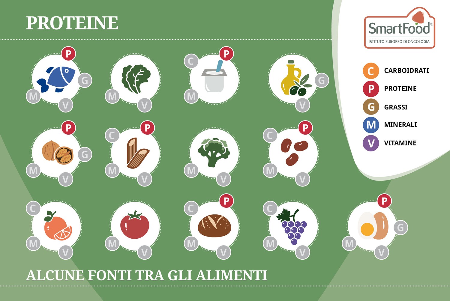 proteine fonti tra gli alimenti