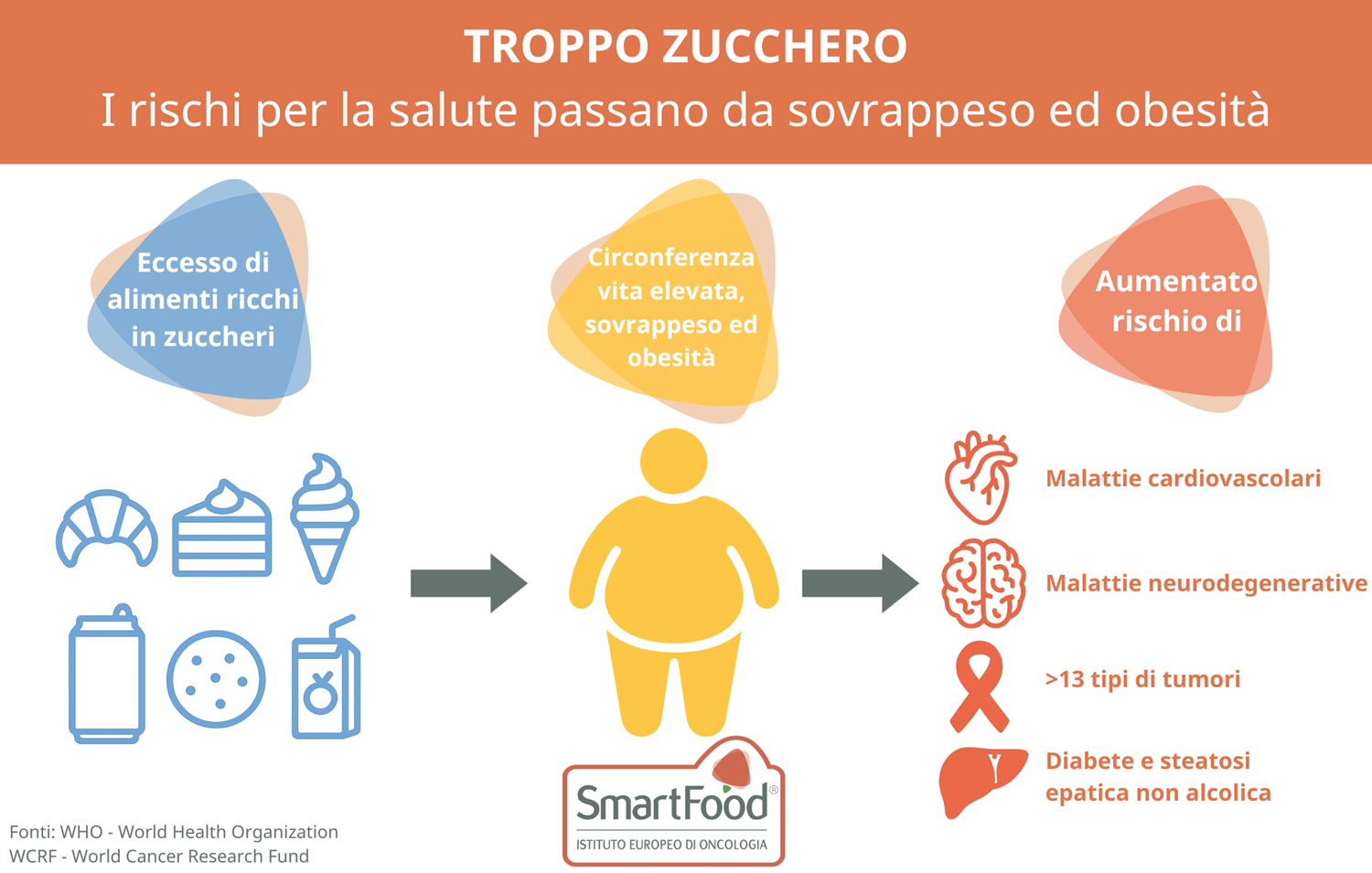 Zucchero E Obesità